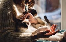 Зачем нужно гладить кошку: причина, которая растопит сердце каждого
