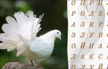 Тільки люди з очима орла знайдуть слово "перо" за 11 секунд:  підступна оптична ілюзія