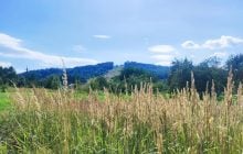 Буковиця: як дійти пішки до мальовничої вершини з Трускавця (фоторепортаж)