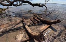 Археологи нашли испанский корабль, взорвавшийся в 1748 году у побережья США