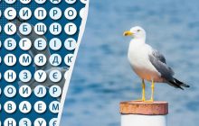 Лише найгостріші очі знайдуть слово "чайка" за 9 секунд: складна оптична ілюзія