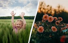 Які три речі потрібно зробити в Горіховий Спас: традиції свята 16 серпня 2025