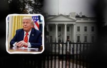 Трамп пригласил европейских лидеров на встречу с Зеленским