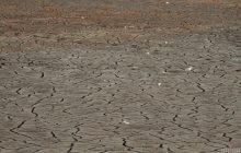 Екосистеми Полісся досі страждають від експериментів СРСР: гідролог пояснила, що відбувається