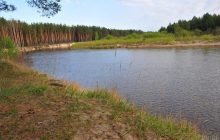 На півдні України є загроза повного висихання річок: експерт припустила, коли це може статися