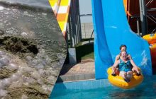 Море напоминает болото: в сети показали, во что РФ превратила популярный курорт в Украине