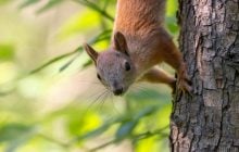 20 серпня у Києві стане тепліше