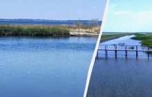 Мул и безлюдность: в сети показали, как изменился популярный курорт Азовского побережья