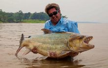 Британец поймал ужасающую редкую рыбу из Конго, которая поедает маленьких крокодилов (фото)