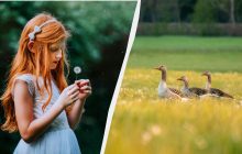 Чому не можна робити покупки: прикмети та заборони у свято 21 серпня 2025