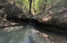 Оазис життя: на Одещині фахівці натрапили на містичне місце (фото, відео)