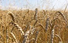Лето продолжается: где 3 сентября в Украине будет жарче всего