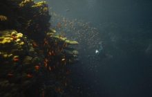 Учені виявили в Червоному морі таємничі "зони смерті": що про них відомо