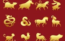 У шести китайских знаков Зодиака вскоре начнется "белая полоса": их ждет успех
