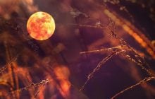 Когда взойдет Кровавая Луна: что ждать от мистического затмения 7 сентября