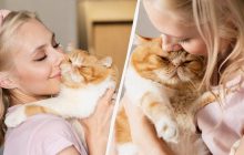 Чому не можна цілувати домашню кішку: що відчуває тварина, коли ви так робите