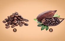 Цей тест вражає точністю: вибір між кавою і какао багато що пояснить у житті