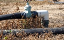 Более половины Европы от Атлантики до Кавказа пострадало от засухи, - данные климатологов