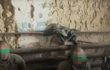 Называли "бандерами": на Покровском направлении пограничники взяли в плен россиян (видео)