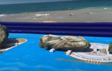 Затонувший египетский город обнаружили спустя 2000 лет: что там нашли (видео)