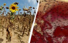 До України мчить розпечене повітря з субтропіків: синоптик попередив про аномальну погоду