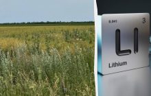 Миллиардер из США заинтересовался крупнейшим литиевым месторождением в Украине, - министр экономики