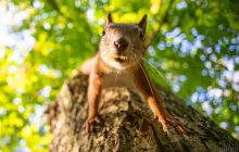 Укргидрометцентр сообщил, какая погода будет в Киеве в начале осени (инфографика)