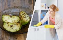 Відома блогерка показала, як швидко прогнати мошок з квартири: нічого купувати не потрібно