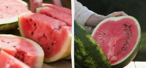 Как правильно хранить арбуз: эти советы позволят сохранить его на длительный срок