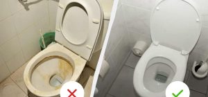 Одну чайную ложку прямо в унитаз и оставить на ночь: к утру сантехника будет блестеть