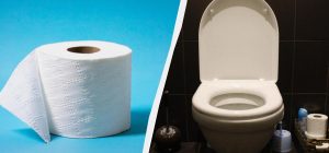Почему нельзя протирать сиденье унитаза туалетной бумагой: ответ удивит
