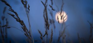 Гроші, робота, поїздки: які дні серпня 2025 краще планувати обережно