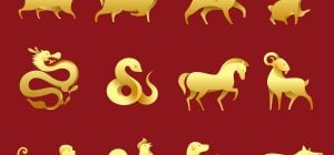Эти китайские знаки Зодиака получат редкий шанс от судьбы: их ждет успех