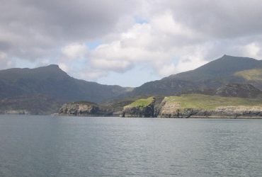 У Британії випадково знайшли істоту, яка вважалася давно вимерлою