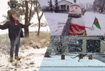 В Австралии из-за погодной аномалии выпал снег, заснежив кенгуру