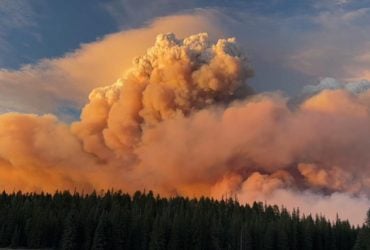 Лесные пожары в США вызвали огненные облака: в чем их опасность