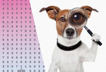 Хитра оптична ілюзія: треба за 9 секунд знайти приховане число 1980