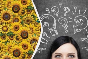 В море подсолнухов спрятали кроссовок: надо найти его за 9 секунд в сложной головоломке