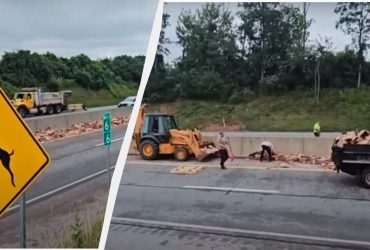 У дивній аварії рух на важливому шосе в США перекрили хот-доги