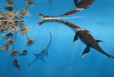 В Германии нашли останки морского монстра возрастом 183 миллиона лет