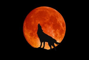 Грядет Кровавая ночь: что принесет человечеству самое долгое лунное затмение