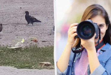 У Запоріжжі в товаристві голубів помітили екзотичного іноземця (відео)