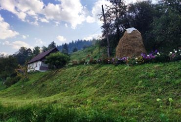 В какие места ездили и чего хотели: что известно о внутреннем туризме в Украине в 2025 году