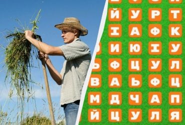 Тільки генії знайдуть слово коса за 8 секунд: дуже складна головоломка