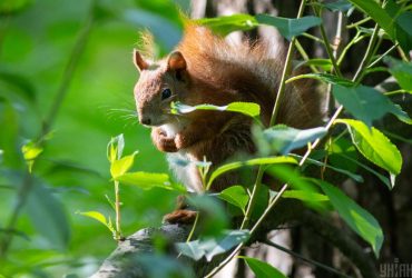 7 августа в Киеве похолодает почти на 5 градусов