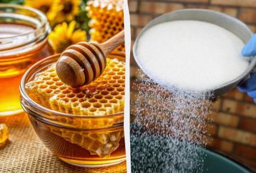 Деякі українські продукти більше не поїдуть до ЄС: дозволений обсяг експорту вичерпано