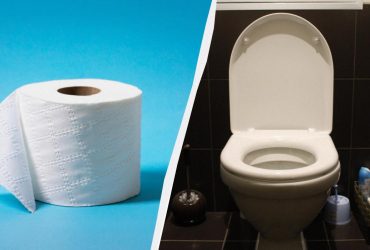 Почему нельзя протирать сиденье унитаза туалетной бумагой: ответ удивит