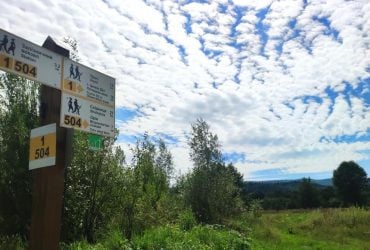 Пешеходный маршрут на гору Буковица во Львовской области