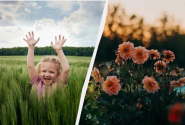 Какие три вещи нужно сделать в Ореховый Спас: традиции праздника 16 августа 2025