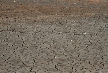 Экосистемы Полесья до сих пор страдают от действий СССР: гидролог объяснила, что происходит